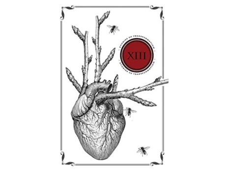 Livro Thirteen Stories Of Transformation De Mark Teppo (inglês)