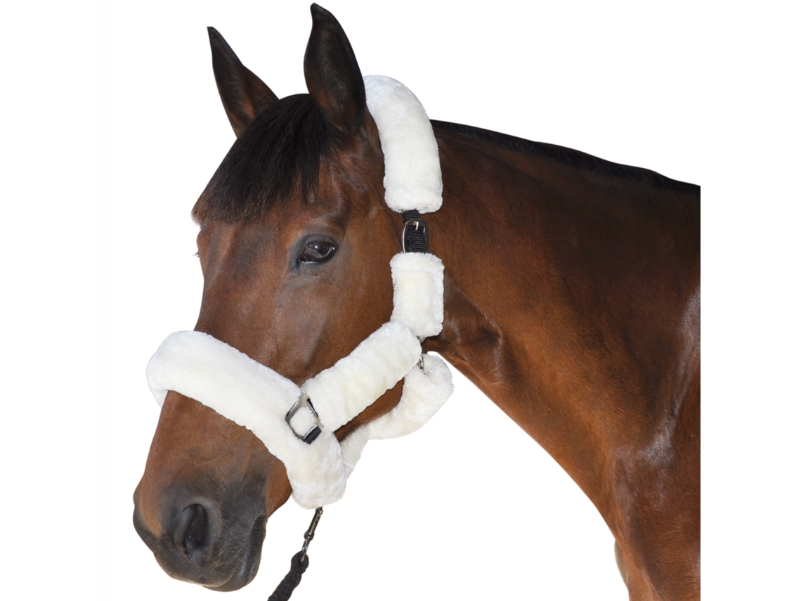 Cabresto de cavalo Canter