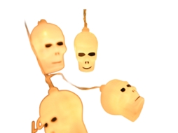 Laxiscreed Decoração De Halloween Com Garrafa De Abóbora E Luzes Estáticas De 3m Com Usb E Controlo Remoto