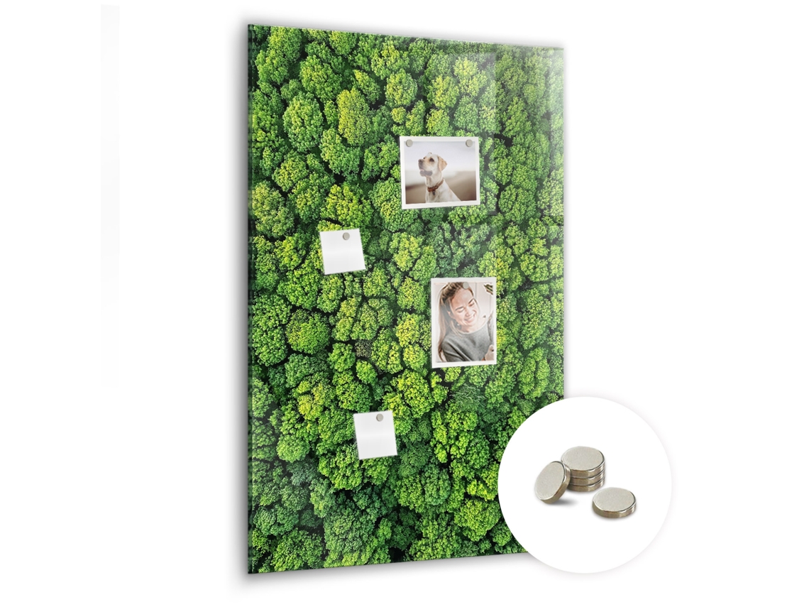 Lousa Magnética Árvores Da Floresta Para O Escritório Espelharte (60x90 Cm)