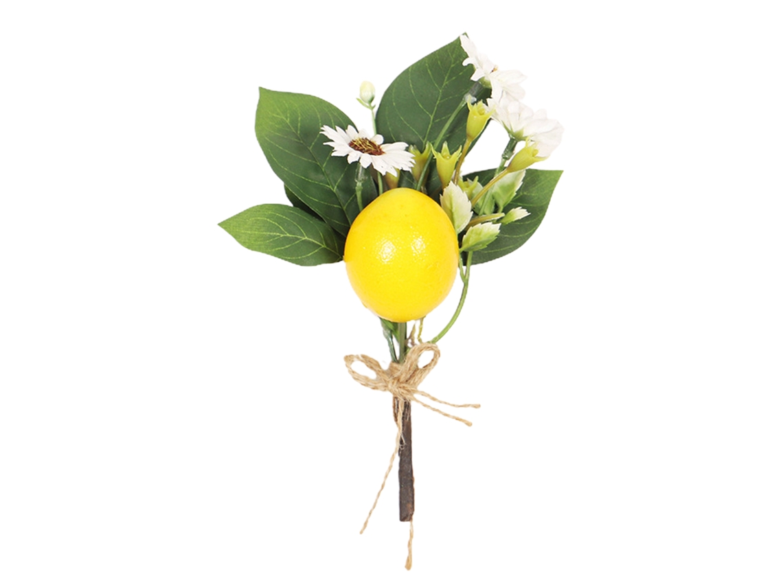 Esponja para Cortar Limões, 18cm, Ideal para Cozinha LAXISCREED