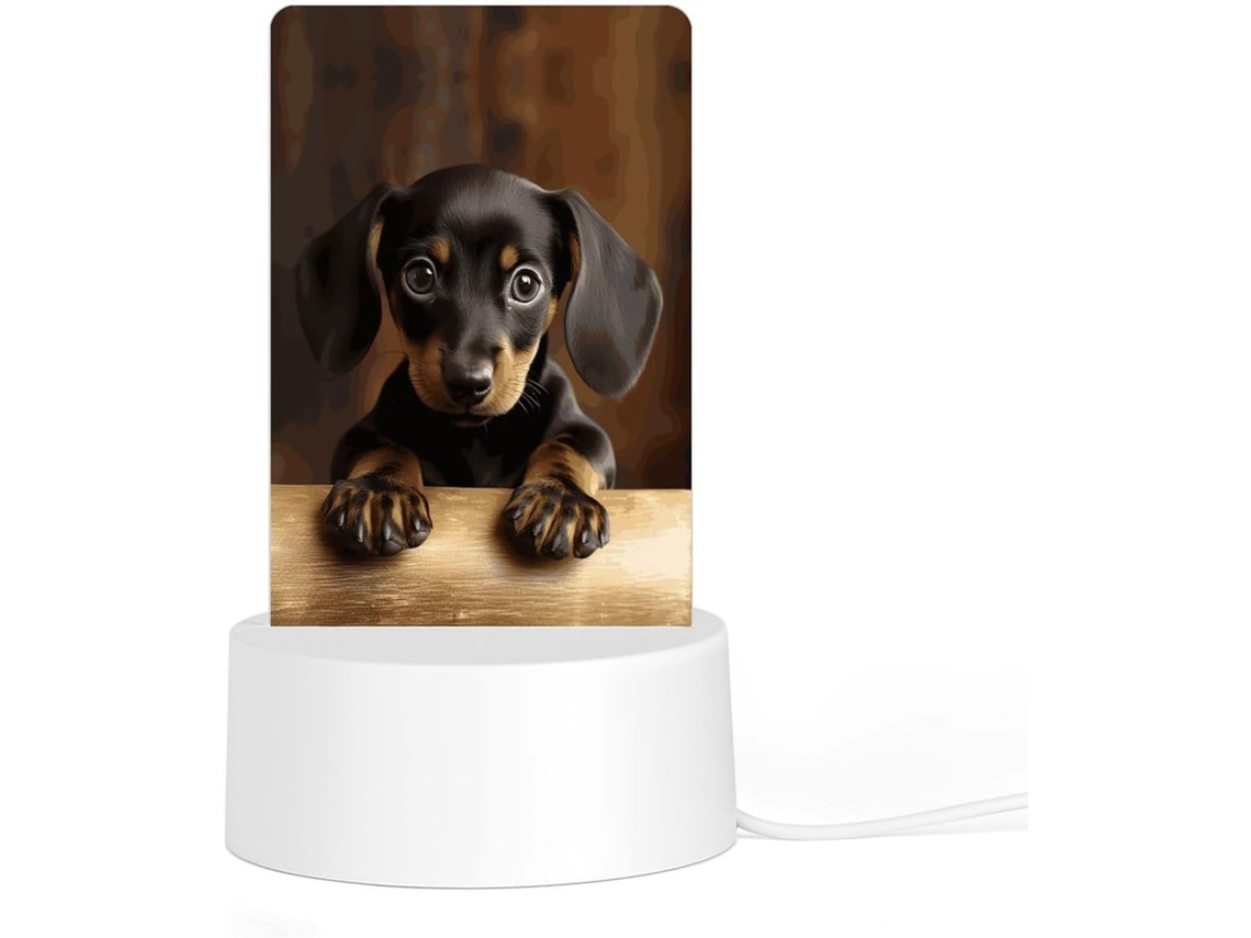 Luminária Noturna De Acrílico Com Base, Ideal Cães, Dachshunds, Luz Noturna Computador, Luz Led Quarto