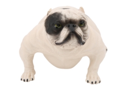 Mali modelo de Cão Simulação Animal Brinquedo Educativo Decorativo Coleção Pl127 1192