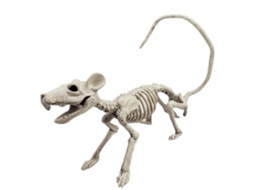 Primerox esqueleto de Animal Halloween Simulação Assustadora Decoração Festa Abs Diy Múltiplas Formas