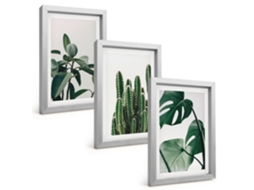 Composição De Quadros Plantas Tropicais Com Estética Espelharte (3 Peças 20x30 Cm)