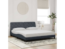 Vidaxl Estrutura de Cama Sem Colchão 200x200 Cm Veludo Cinzento escuro