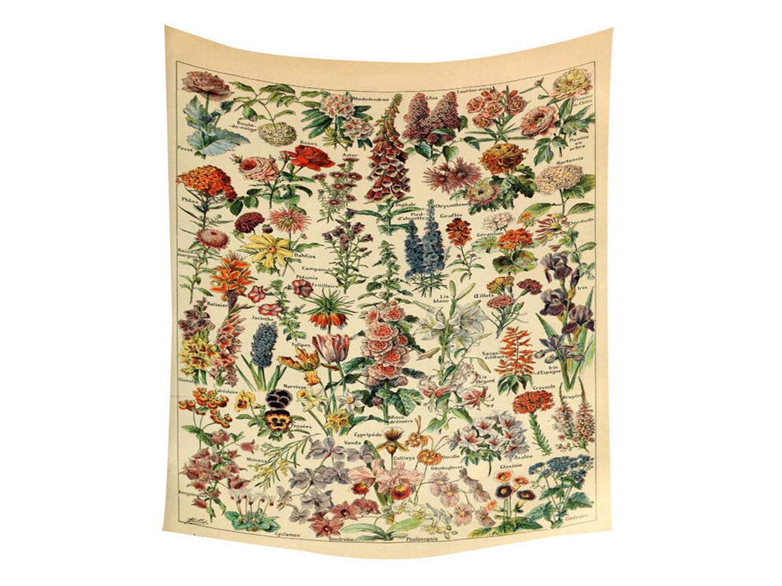 Gtzw 200x150cm Tecido de Felpa com Acessórios (177)