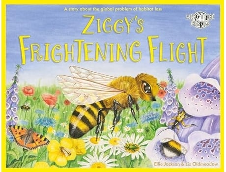 Livro Ziggys Frightening Flight de Ellie Jackson (Inglês)