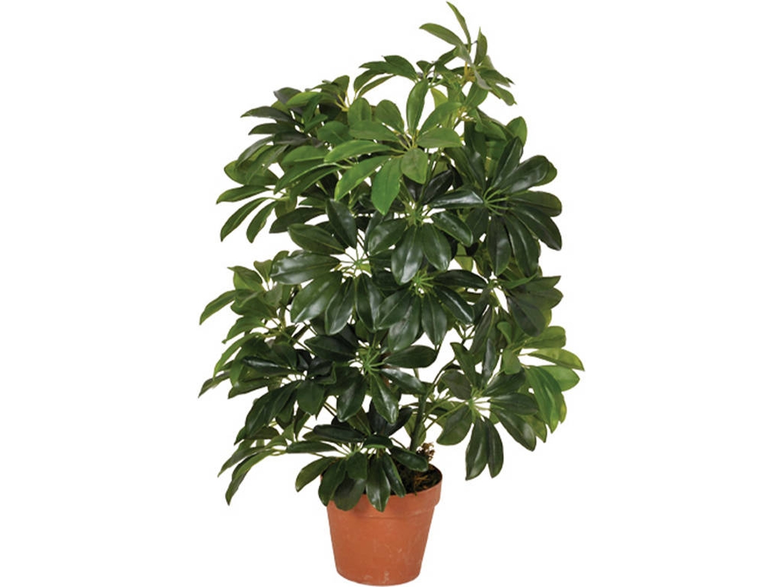 Planta Artificial CATRAL Cheflera (65 cm)