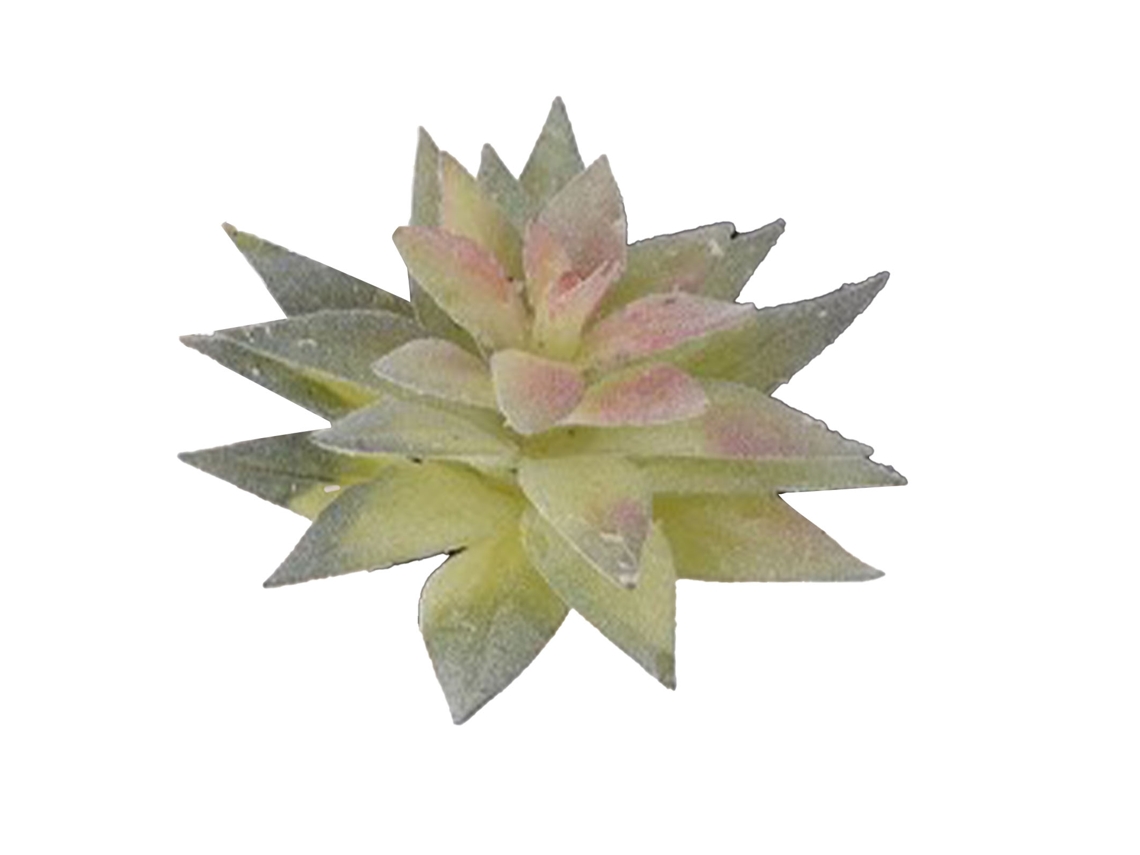 Planta Suculenta Artificial LAXISCREED