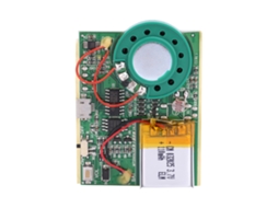 Módulo De Gravação De Voz E Som Usb Com Bateria De Lítio Recarregável E Controle Fotossensitivo