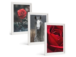 Conjunto De Pinturas Rosas Vermelhas, Cavalo, Mundo Cinza Moldura Branca Pinturas De Quarto Espelharte (3 Piezas De 40x60 Cm)