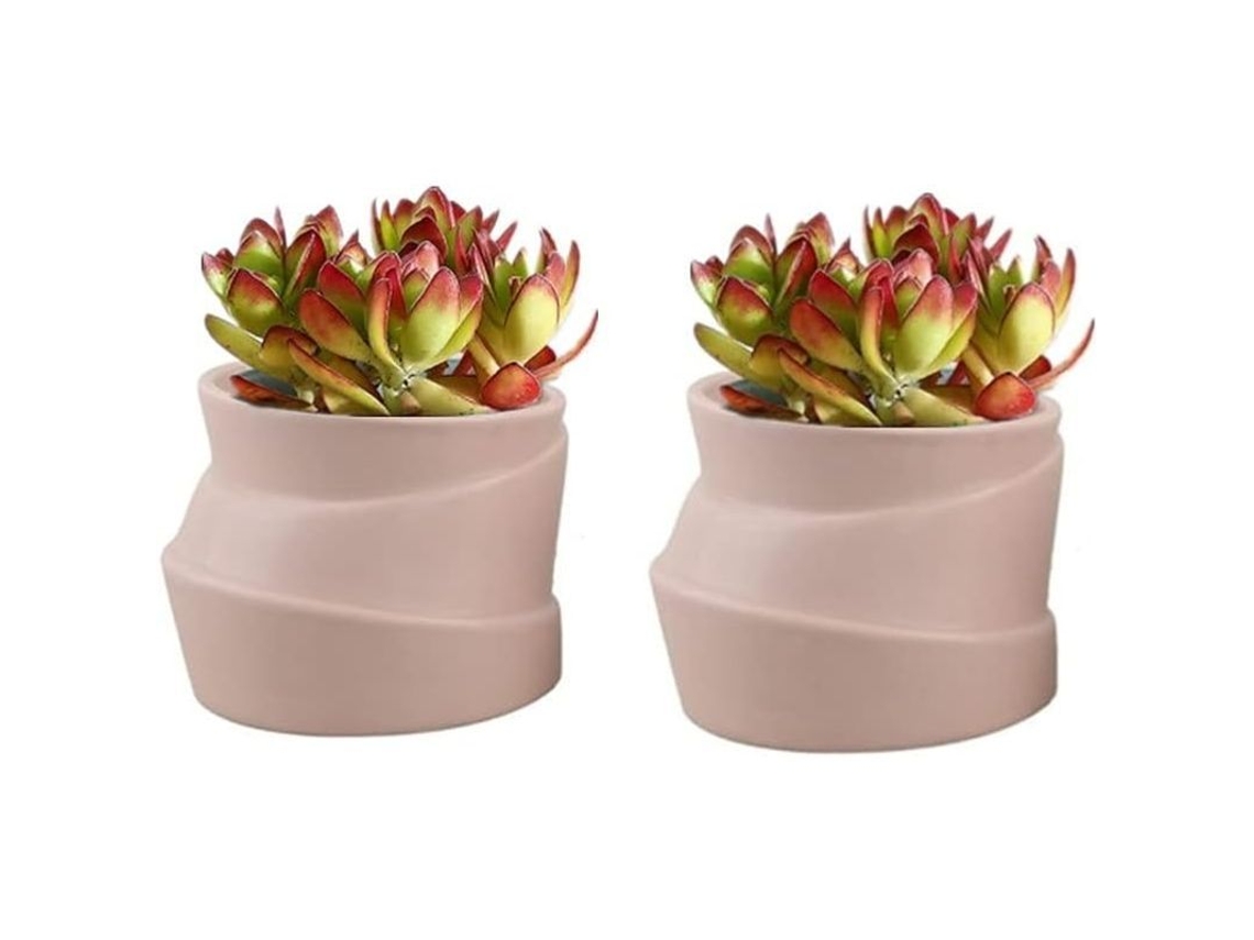 Conjunto De 2 Vasos De Cerâmica Com Forma Irregular Creativa Para Plantas Pequeñas Cactus