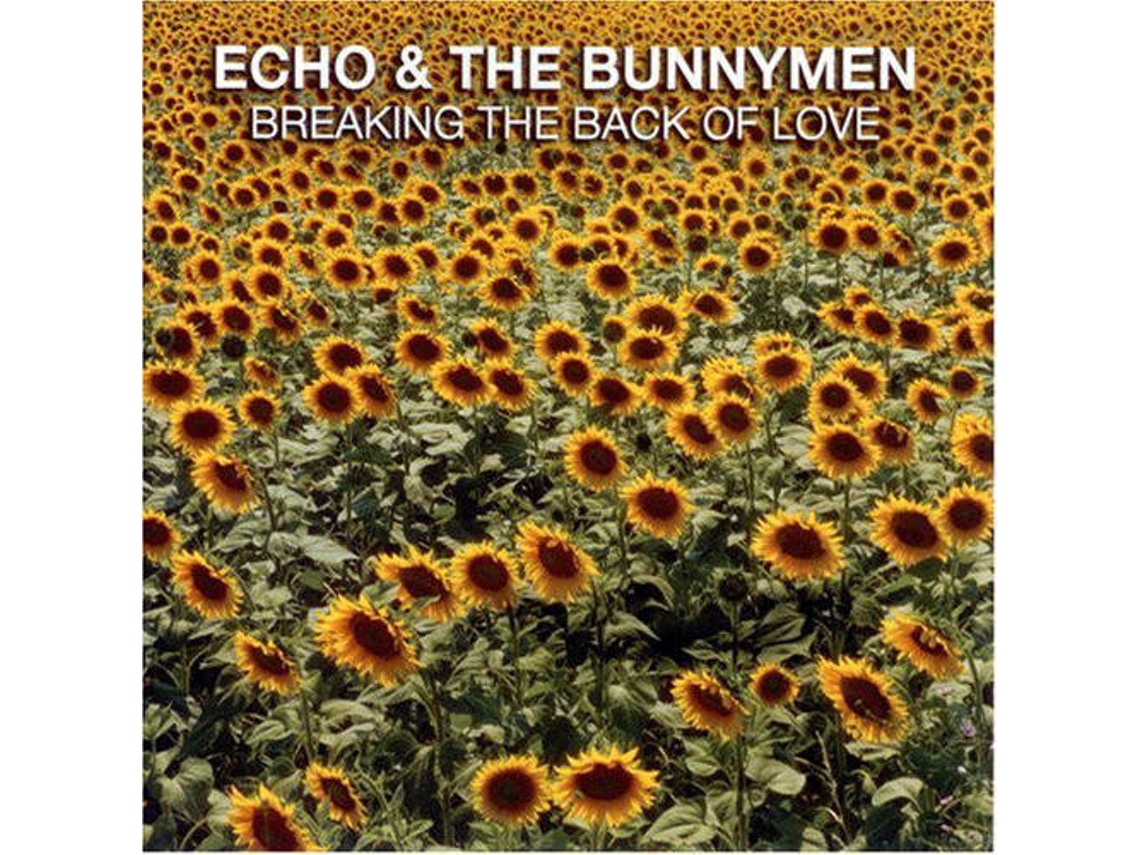CD Echo & The Bunnymen - Breaking Stone (1CDs)
