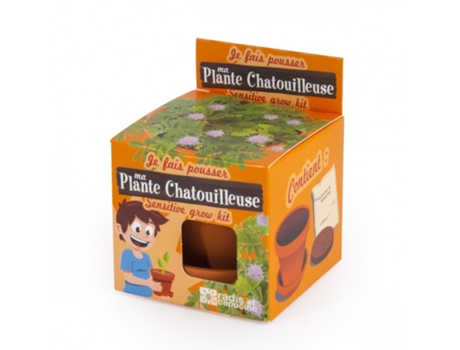 Jogo de Tabuleiro RADIS ET CAPUCINE I Grow My Mimosa (4 Anos)