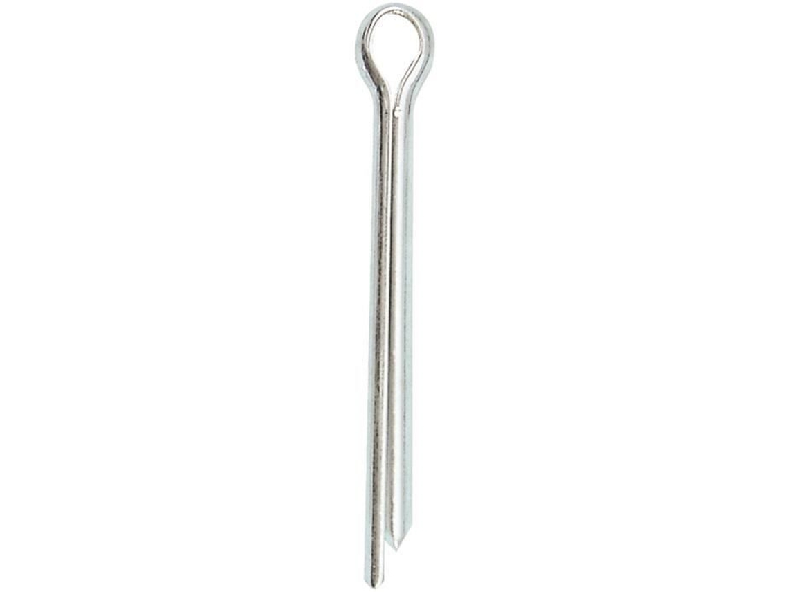 Pino Bipartido Em Aço Zincado Ø2,1mm Comprimento 40mm Blister 20 Chapuis