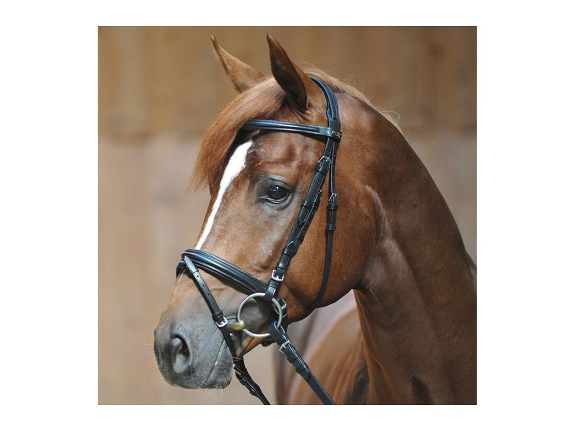 Cabeçotes de Cavalo KAVALKADE Ravenna