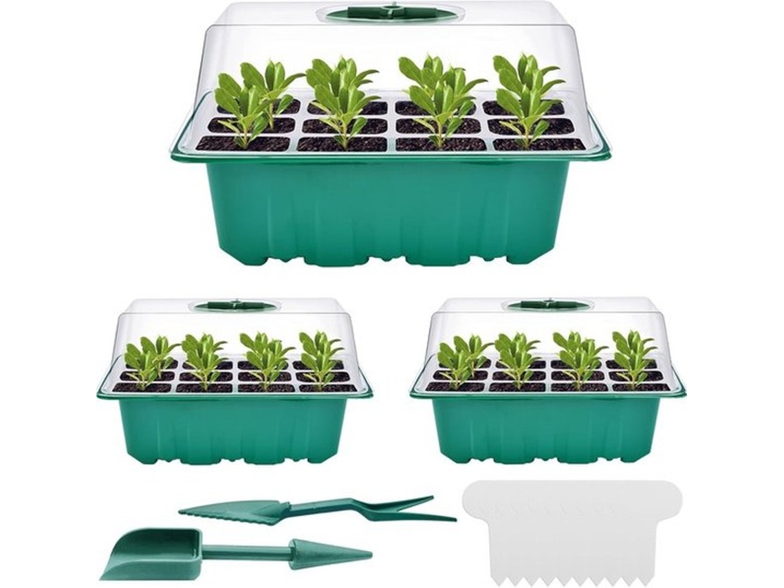Conjunto De Mini-broqueis - Cesto Para Sementes - 3 Unidades