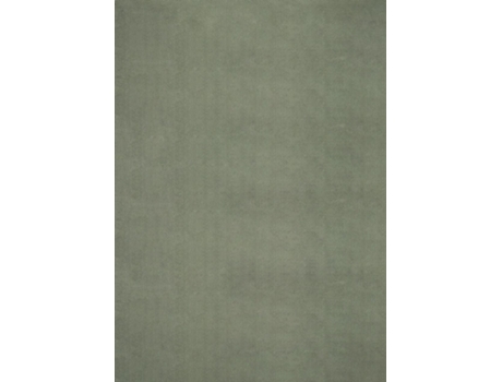 Tapete The Carpet Relax Antiderrapante Lavável Poliéster Verde (200x280)