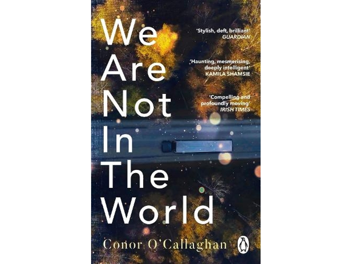 Livro We Are Not in the World de Conor O'Callaghan (Inglês)