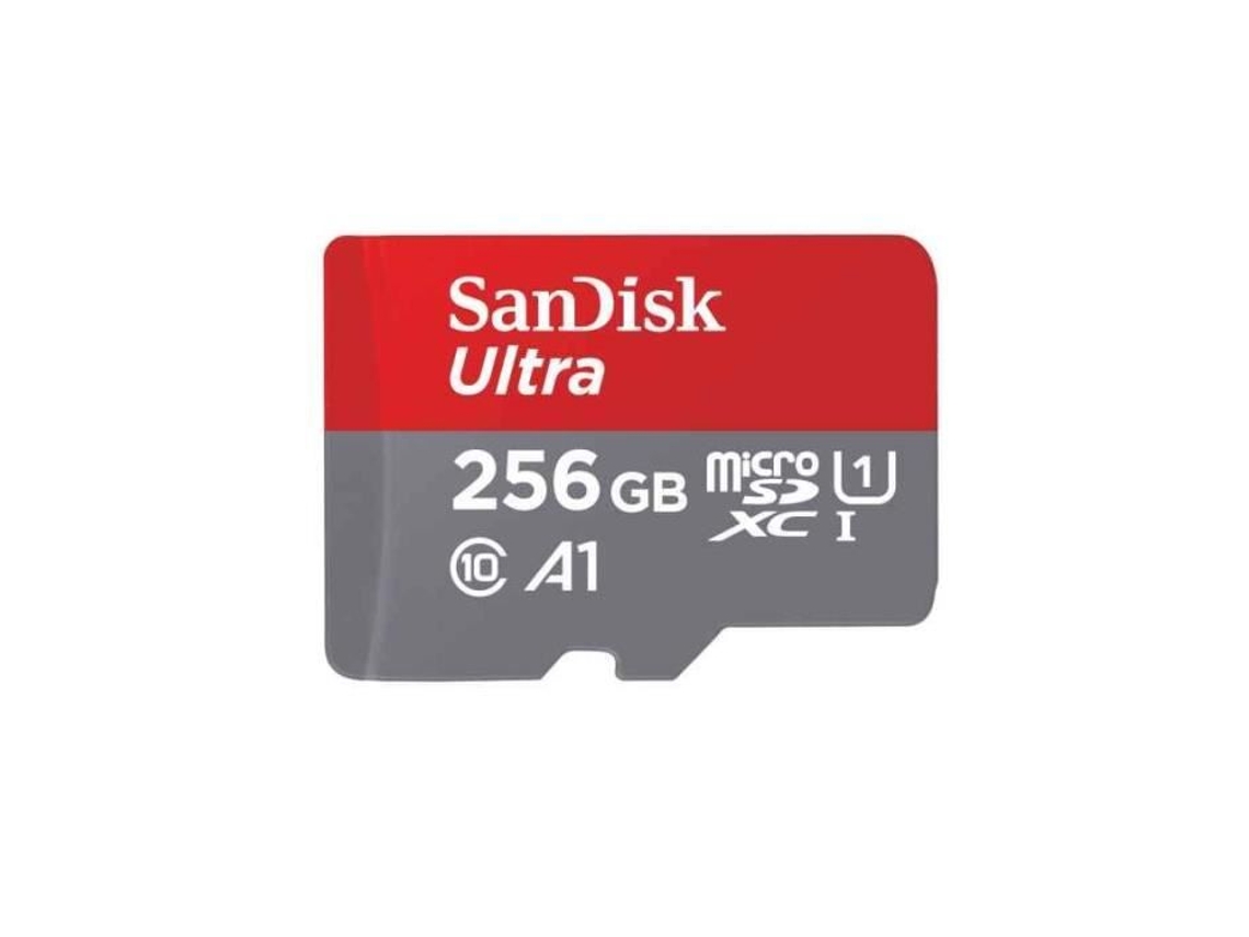 Cartão De Memória Flash Sandisk Ultra 256go Classe 10 Microsdxc