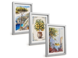 Pinturas Murais Modernaslimoeiro-do-mar À Mesa Moldura Prateada Fotos Para O Corredor Espelharte (3 Peças 20x30 Cm)