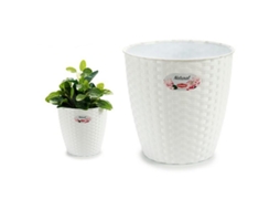 Vaso Natural