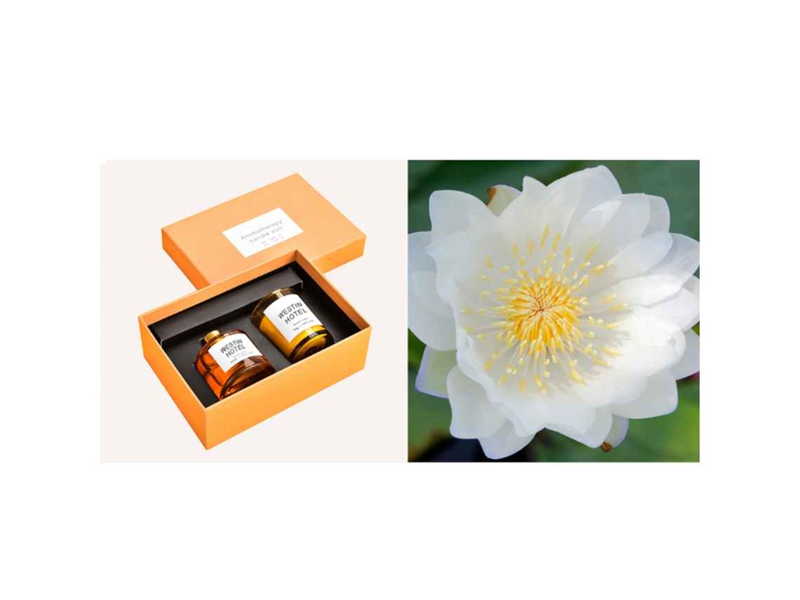 Set De Presente De Cera De Soja Com Óleo Essencial Para Aromaterapia No Quarto