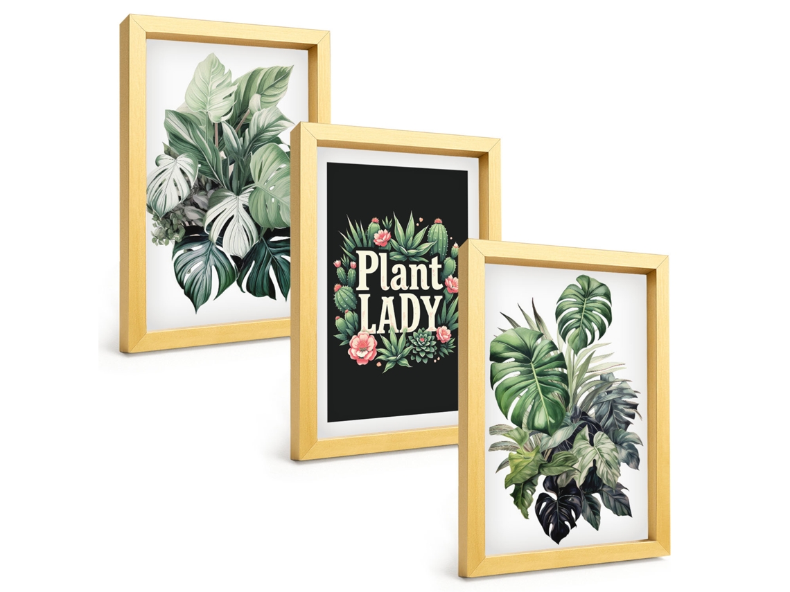 Pinturas Murais Modernasplantas Tropicais, Senhora Das Plantas Moldura Dourada Fotos Para O Corredor Espelharte (3 Peças 20x30 Cm)