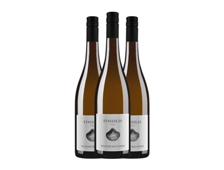 Vinho branco PFLÜGER Fossilis Pinot Branco Seco Pfälz (0.75 L - 3 Unidades)