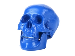 1Pcs Modelo de Caveira para Decorações de Halloween ALLINLESS