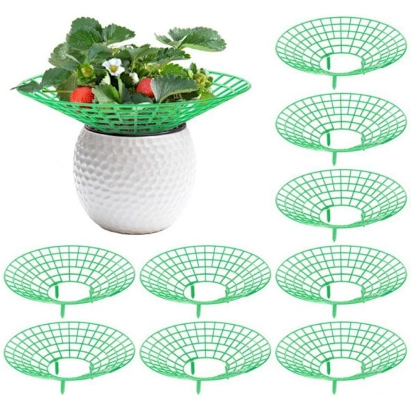 10 Suportes para morangos AQUAFORGE com anéis, verde