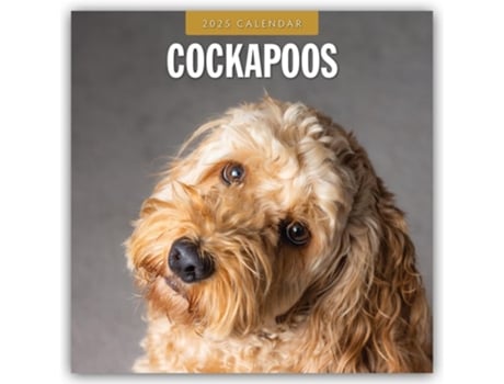Livro Cockapoos 2025 Square Wall Calendar de Red Robin (Inglês)