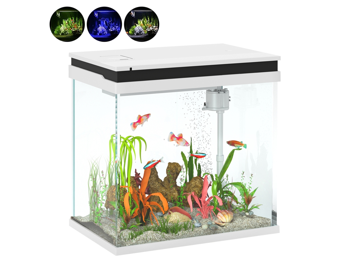 Aquário Peixes Dourados 26l Vidro Led Filtro Bomba Água Tropical Completo 38x26x38cm Branco