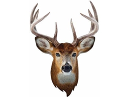 Jogo Didático MADD CAPP I AM Buck (Idade Mínima: 2)