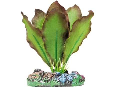 Adorno AQUATIC PLANTS Anubias Bronceada (3 kg)
