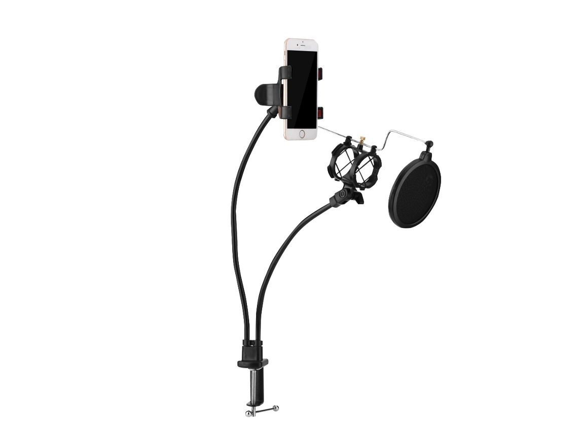 Suporte de Microfone Móvel Profissional LAXISCREED