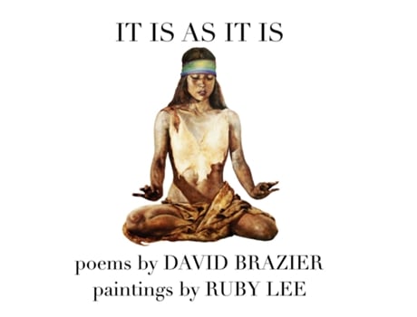 Livro It Is As It Is De David Brazier (inglês)