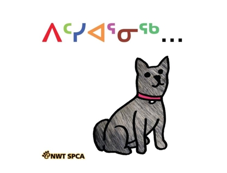 Livro Kindness Is... De Simone Tielesh (inglês)