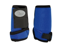 Protector de joelhos para cavalos HARRY'S HORSE Beenbeschermers neopreen Tiny