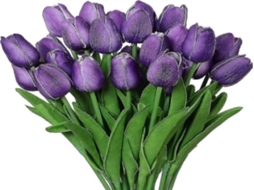 Lírios Calla Artificiais - 20 Peças, 20 Copos - Pu/látex, 34 Cm - Aspeto Realista - Para Interiores E Casamentos | Lurelia