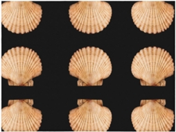Colcha de Flanela com Estampa Conchas Recortadas Macia e Aconchegante para Sofá Quarto 127 X 101 Cm, Macio,
