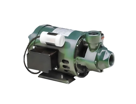 Bomba Periférica Monofásica LOWARA Hp 0 8 750 W
