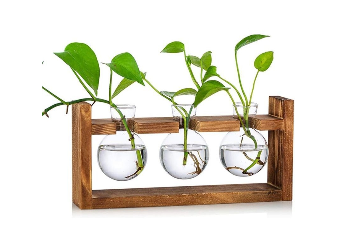 2026 vasos de Vidrio para Plantas com Base de Madeira Terrário Esférico para Lar Escritório Jardim 3 Unidades