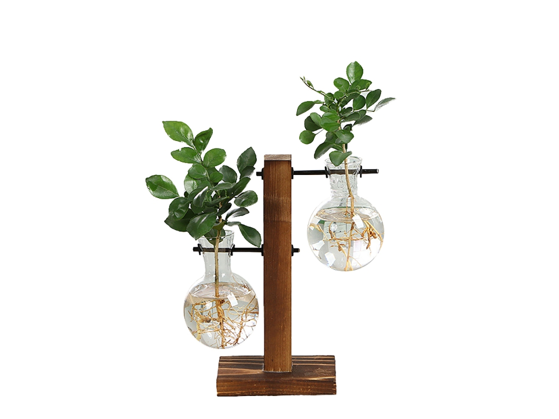 Laxiscreed Vaso De Cristal Criativo Com Suporte Em Madeira Para Hidrôponia