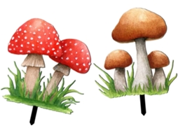 Conjunto De 2 Estacas De Acrílico Em Formato De Cogumelo Para Decoração De Jardim, Ideal Para Áreas Gokoco