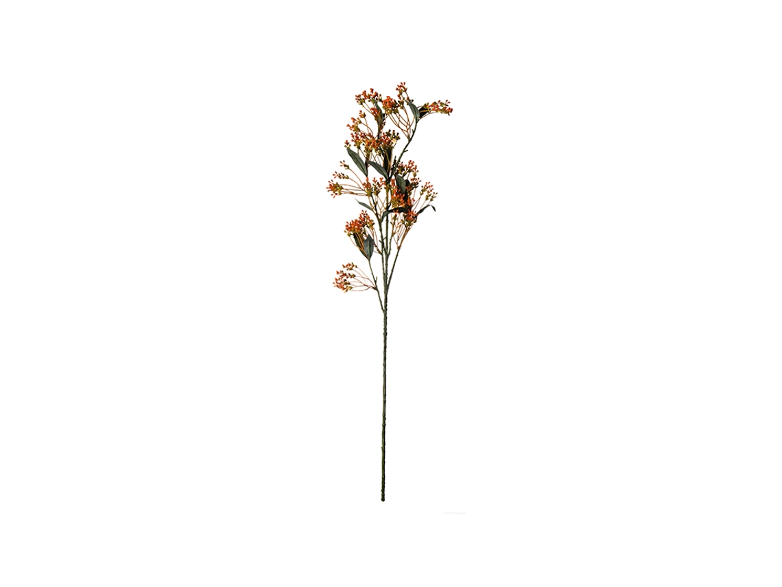 Haste com Baga de Laranja 73Cm - de ko ASA SELECTION