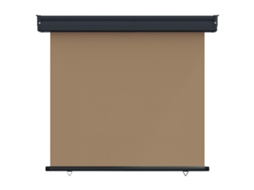 Maison Exclusive - Toldo Lateral De Varanda 100 X 250 Cm