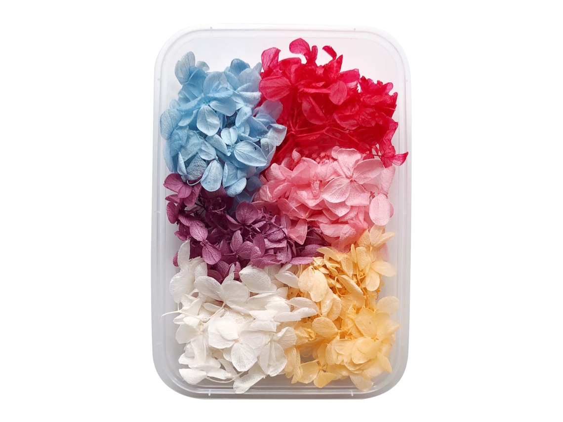 Conjunto De 10 Flores Secas Para Velas Aromáticas E Artesanato Com Laxiscreed