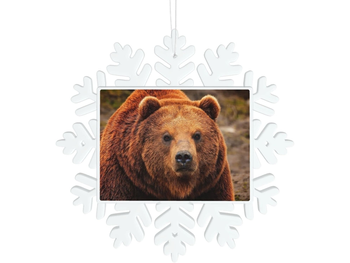 Urso Pardo Decoração Em Forma De Flocão De Neige Transparente 14 X 14 Cm